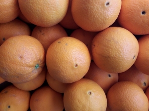 Livraison Oranges non traitées - 1 kg